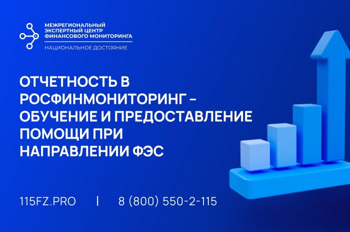 Отчетность в Росфинмониторинг – обучение и предоставление помощи при направлении ФЭС