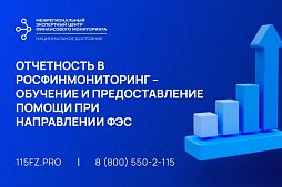 Отчетность в Росфинмониторинг – обучение и предоставление помощи при направлении ФЭС